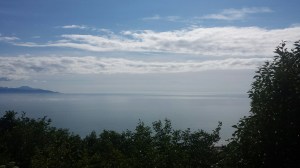 20150711_165811_resized_1