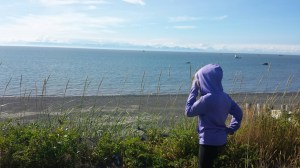 20150711_181920_resized_1