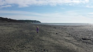 20150711_183857_resized_1